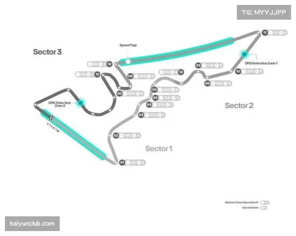 F1赛道特性差异放大车队竞争格局 各队性能取舍显策略